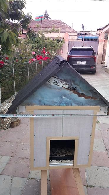 Yuvalar: Məhsul: Açıq havada istifadə üçün pişik evi Təsvir: Qapalı pişik evi — 8