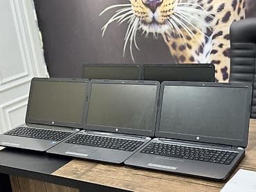 HP 250 G3 noutbukları – 5 ədəd Texniki xüsusiyyətlər: - Model: HP 250