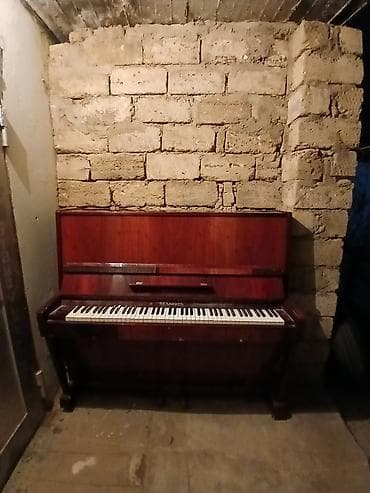 ГАЗ: Пианино, Беларусь, Акустический — 2