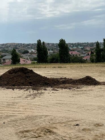 elşən süleymanov küçəsi: 21 sot, Kupça (Çıxarış) — 2