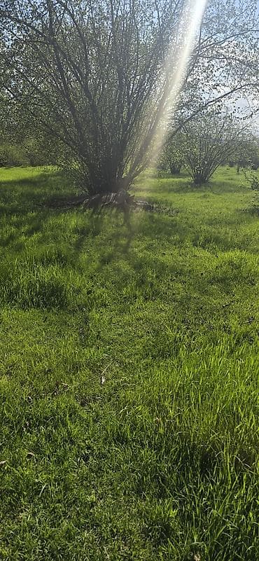 1 otaqlı ev: Qəbələ, 120 kv. m, 4 otaqlı, Hovuzsuz, Su — 3