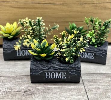 Растения: Dekor güller — 3