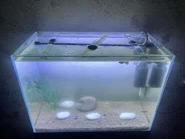 Грызуны: Прямоугольный аквариум, Пустой, 90 л, Платная доставка — 2