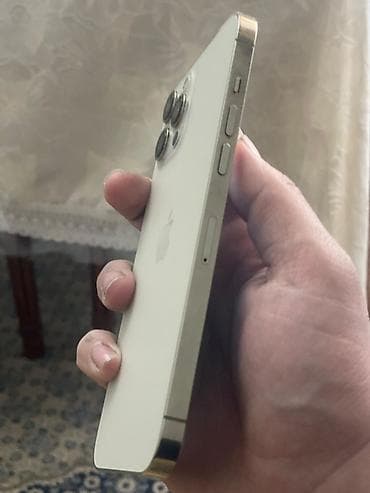 su qizdirici ariston: IPhone 12 Pro Max, 128 GB, Qızılı, Simsiz şarj — 3