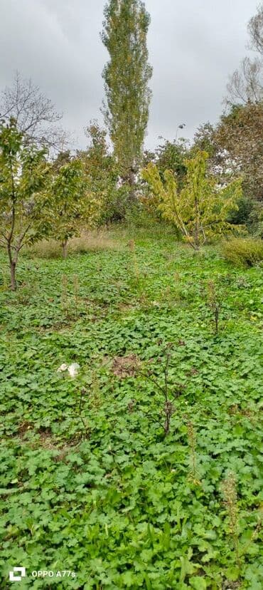 xırdalan kirayə evlər 1 otaqlı: 19 sot, Tikinti, Mülkiyyətçi — 4