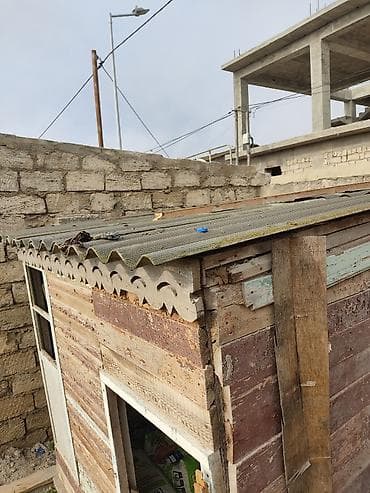 balaca dana: Salam. Göyərçin,bildirçin, toyuq-cücə saxlamaq üçün çox əlverişlidir — 6