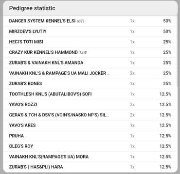 kreditle it satisi: Pitbul, Dişi, Sənədli — 2