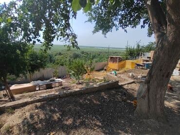 bahar heyət: 3 otaqlı, 100 kv. m, Kredit yoxdur, Orta təmir — 12