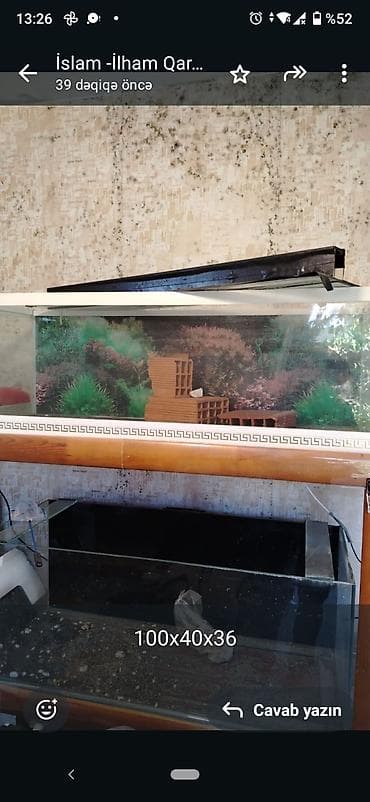 diri balıq: Akvariumlar – şüşə korpus, silikon yapışqanlı künclər, çınqıl/torpaq — 7
