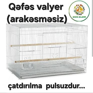 Tutuquşu qəfəsi. Qəfəs valyer (arakəsməsiz) Qəfəsin ölçüsü 60sm eni