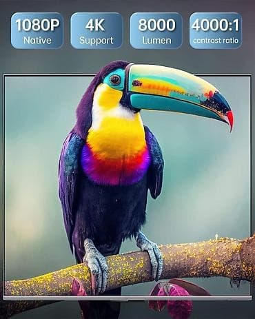 Yeni Portativ Proyektor Ünvandan götürmə, Ödənişli çatdırılma