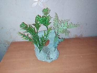 suda yaşayan heyvanlar: Akvarium dekorları — 8