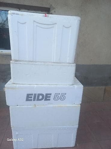 inkubator 2020: Bütün növ quşlaq üçün — 1