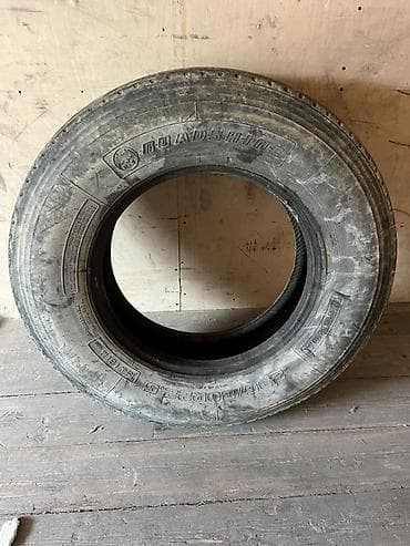 r22: Şin Roadshine 295 / 80 / R 22,5 — 1