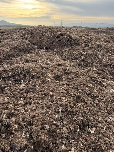 pəncərə toru: Təbii Quş gübrəsi - Məhsul: Quş Peyini - İstifadə sahələri: Tərəvəz — 5