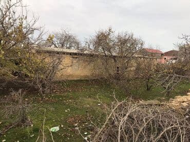 5 sot nece metrdir: 7 sot, Makler, Kupça (Çıxarış) — 3