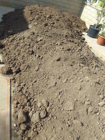 ищу работу садовник на дачу: Bağban xidməti qazon biçmək ağacların biçilməsi budanması — 9