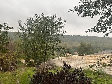eletde torpaq satilir: 16 sot, Tikinti, Mülkiyyətçi, Kupça (Çıxarış) — 5