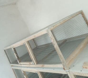 Toyuq,dovşan və ya başqa ev hevanları üçün hin tipli — 1