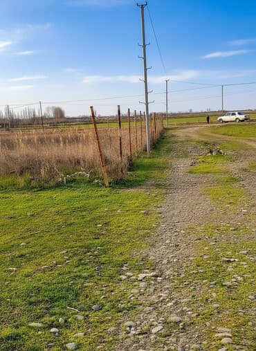 20 sot, Tikinti, Mülkiyyətçi, Kupça (Çıxarış), Texniki pasport