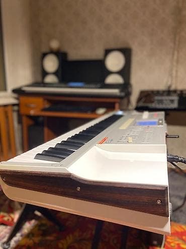 Sintezatorlar: Sintezator, Korg, İşlənmiş — 4