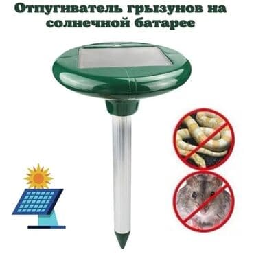 ilan gülü: İlan qovan, Yeni, Pulsuz çatdırılma — 1