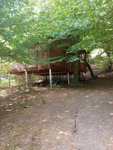 kirayə aylıq: 3000 kv. m, 3 otaqlı — 16