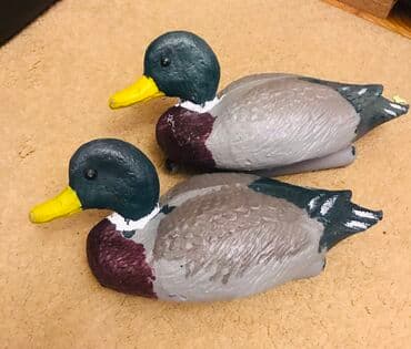 bakıda ovcu mağazaları: Ordek maketi — 1