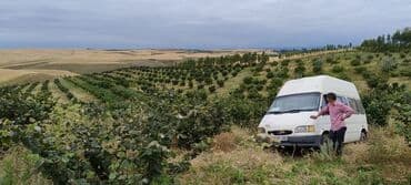 astara torpaq: 104 sot, Kənd təsərrüfatı, Kupça (Çıxarış) — 3