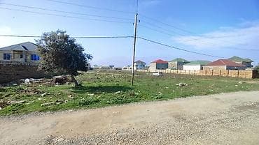 87 sot, Kənd təsərrüfatı, Kupça (Çıxarış)