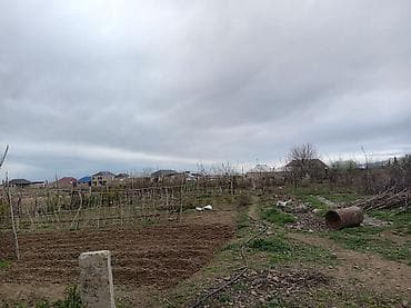 binede ev: Satış üçün həyət evi - Tikinti: Təbii daş (küləhəng/kərk‑daşı) — 3