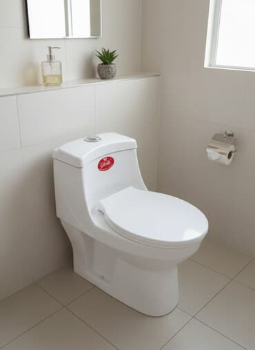 zeytun satilir: Sınğı atığı heçbirşeyi yoxdu təzədi yerinə uyğun olmadığı üçün satılır — 1