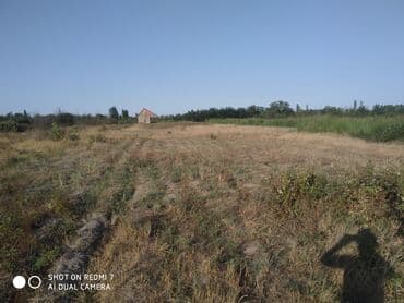 купить дом в азербайджане баку: 46 соток, Для сельского хозяйства, Собственник, Купчая — 5