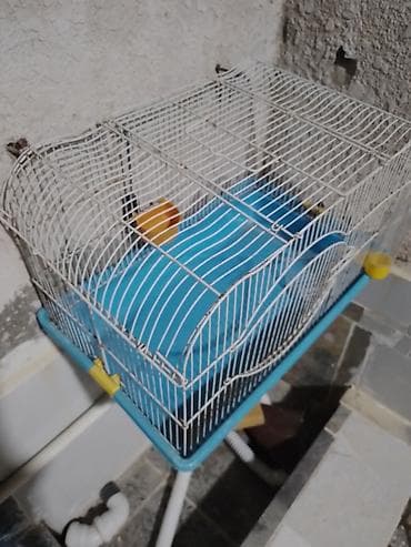Quş qəfəsi – orta ölçülü, metal barmaqlıqlı və mavi plastik altlıqla — 1