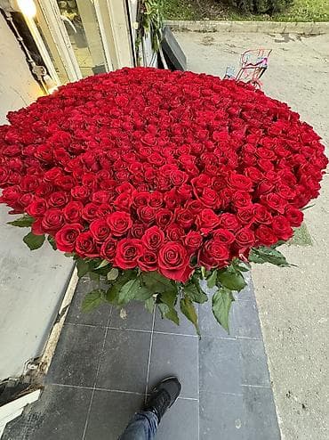 гул дасталар: 8 Mart üçün Qızılgül Kompozisiyaları - Klassik buket: Parlaq qırmızı — 9