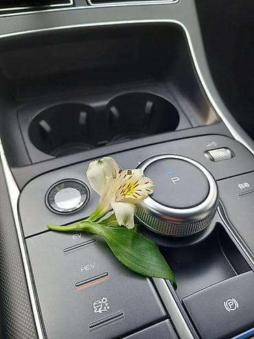 Avtomobil alışı: BYD Destroyer 05: 1.5 l | 2025 il Sedan — 6