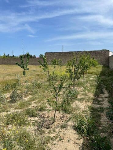 türkanda torpaq: 14 sot, Tikinti, Makler, Kupça (Çıxarış) — 8