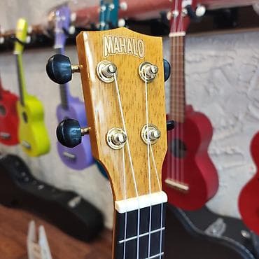 gitara cexolu: Ukulele Mahalo MH2VNA Simlərin sayı: 4 Simlər:Aquila Super Nylgut — 2