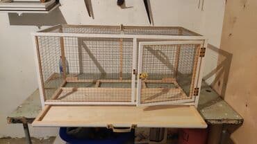 bildirçin yuvası: Dovşan,şinşila,bildirçin,cücə,xamyak,pişik,quş ve s kimi ev heyvanlari — 3