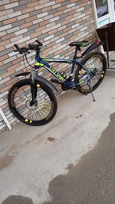 STELSPORT T910 dağ velosipedi - Çərçivə: yüngül alaşımlı, idman