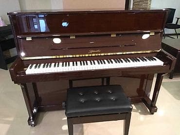 Ritmuller UP110R2 Hər gün 400, illik 140 000 ədəd piano istehsal edən