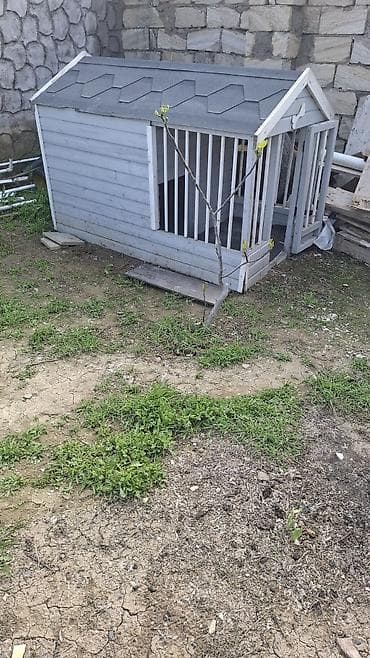 lalafo itlər: Taxta it evi – geniş eyvanlı model - Material: keyfiyyətli taxta — 2