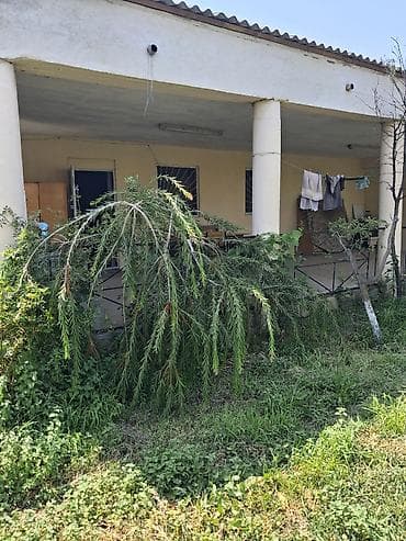 bine sovxoz evler: 12 sot, Mülkiyyətçi, Kupça (Çıxarış) — 1