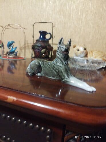 ən gözəl it şəkilləri: Fiqur, rəng - Boz — 2