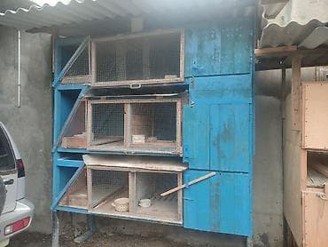 dovsan satilir: Satıram kredit mümkündür 4 dənə klipka — 2