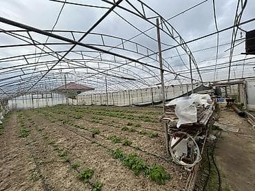 İstixana kompleksi – dam örtüyü karkaslı, tam işlək əkin sahələri və