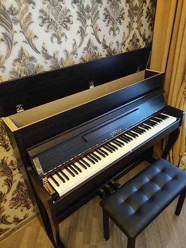 gitara balaca: Piano, Akustik — 5