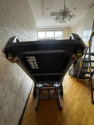 eliptik trenajor: FERRO Genius qaçış trenajoru çəki 150 dağ rejimi var - Güclü — 4