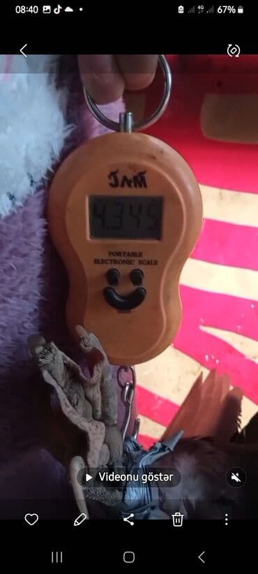 kayuqa ordək: Kq 12 m diri halda satilir - Növ: Muskoviy/indoşka - Rəng — 4