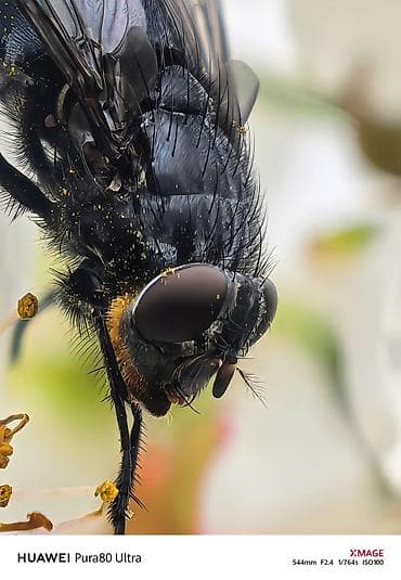 huawei p50 qiyməti: Huawei Pura 70 Ultra, 512 GB, rəng - Qızılı — 6